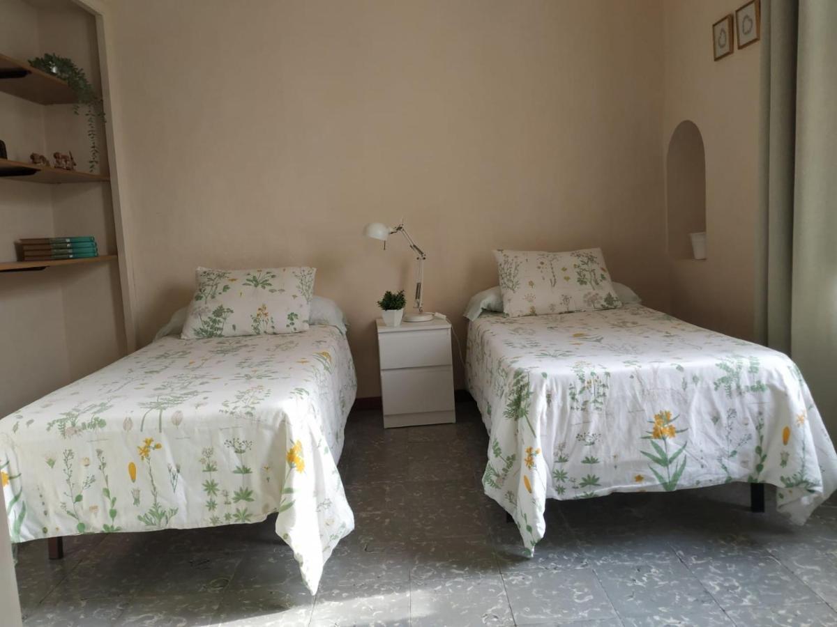 Alfacs Apartment Sant Carles De La Rapita Bagian luar foto